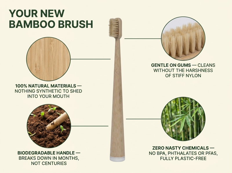 YOUR NEW TOOTHBRUSH