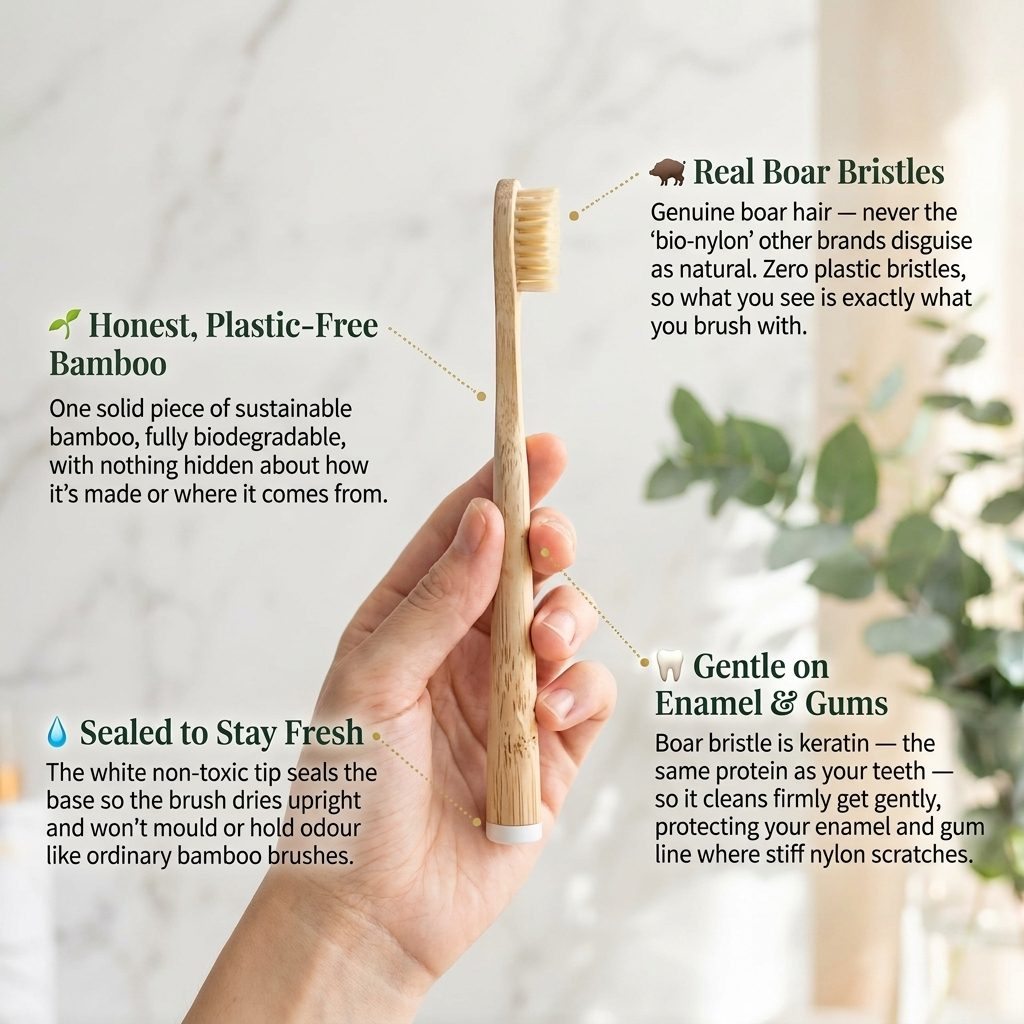 Boar Hair Bristle Bamboo Toothbrush — 4 Pack