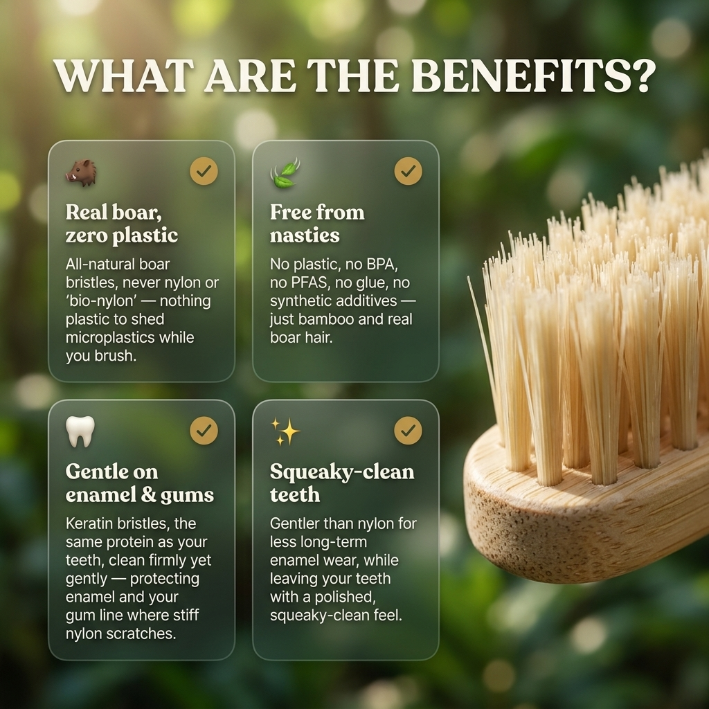 Boar Hair Bristle Bamboo Toothbrush — 4 Pack