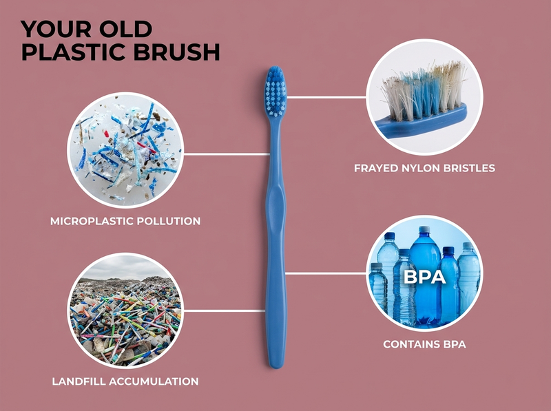 YOUR OLD PLASTIC BRUSH